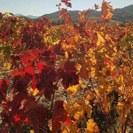 Hébergement de vacances Mas De Boulegue